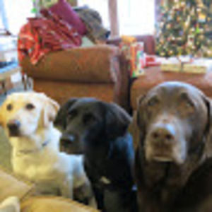 Meet your Posher, Leslie